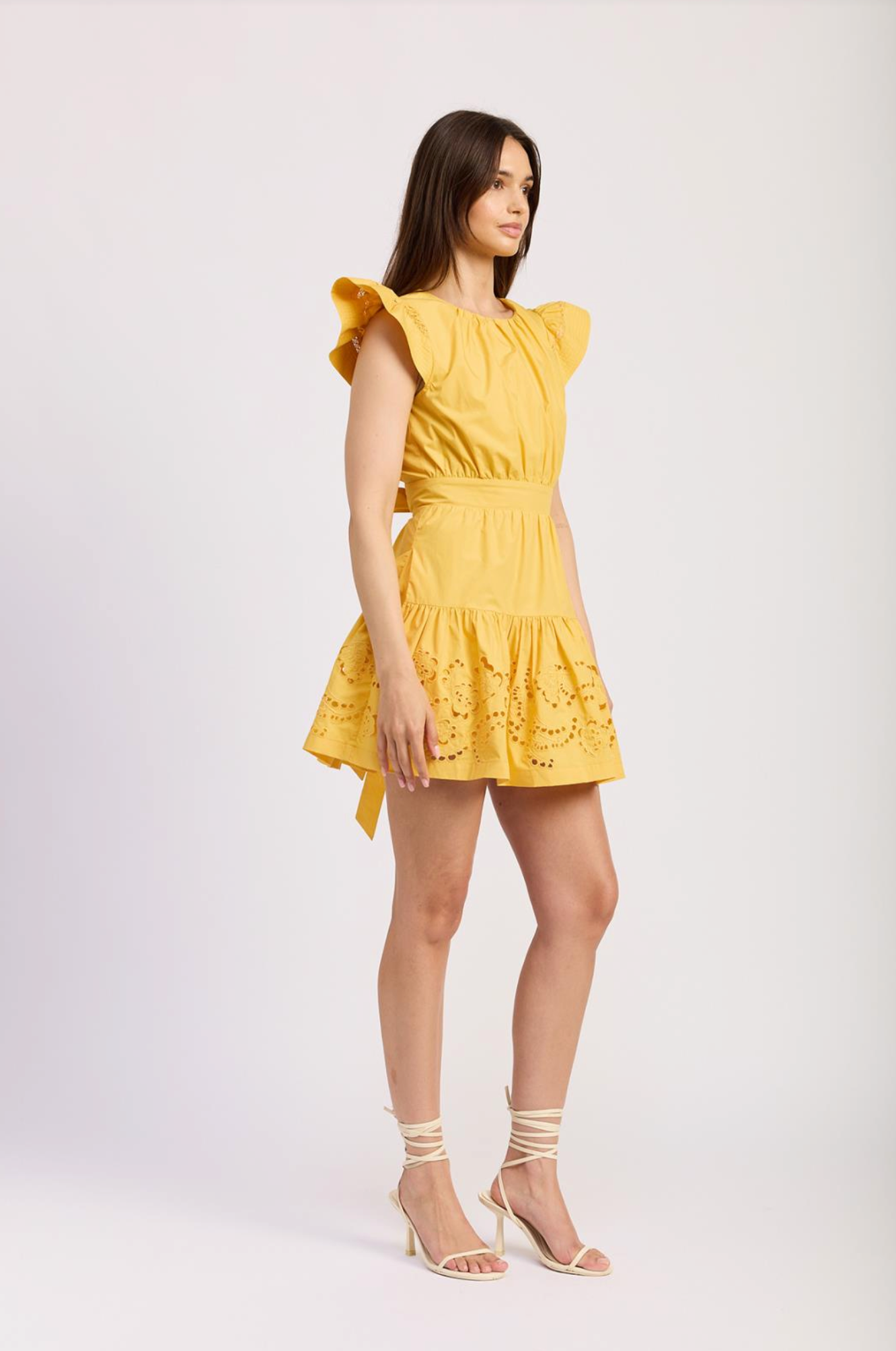 Taylor Mini Dress