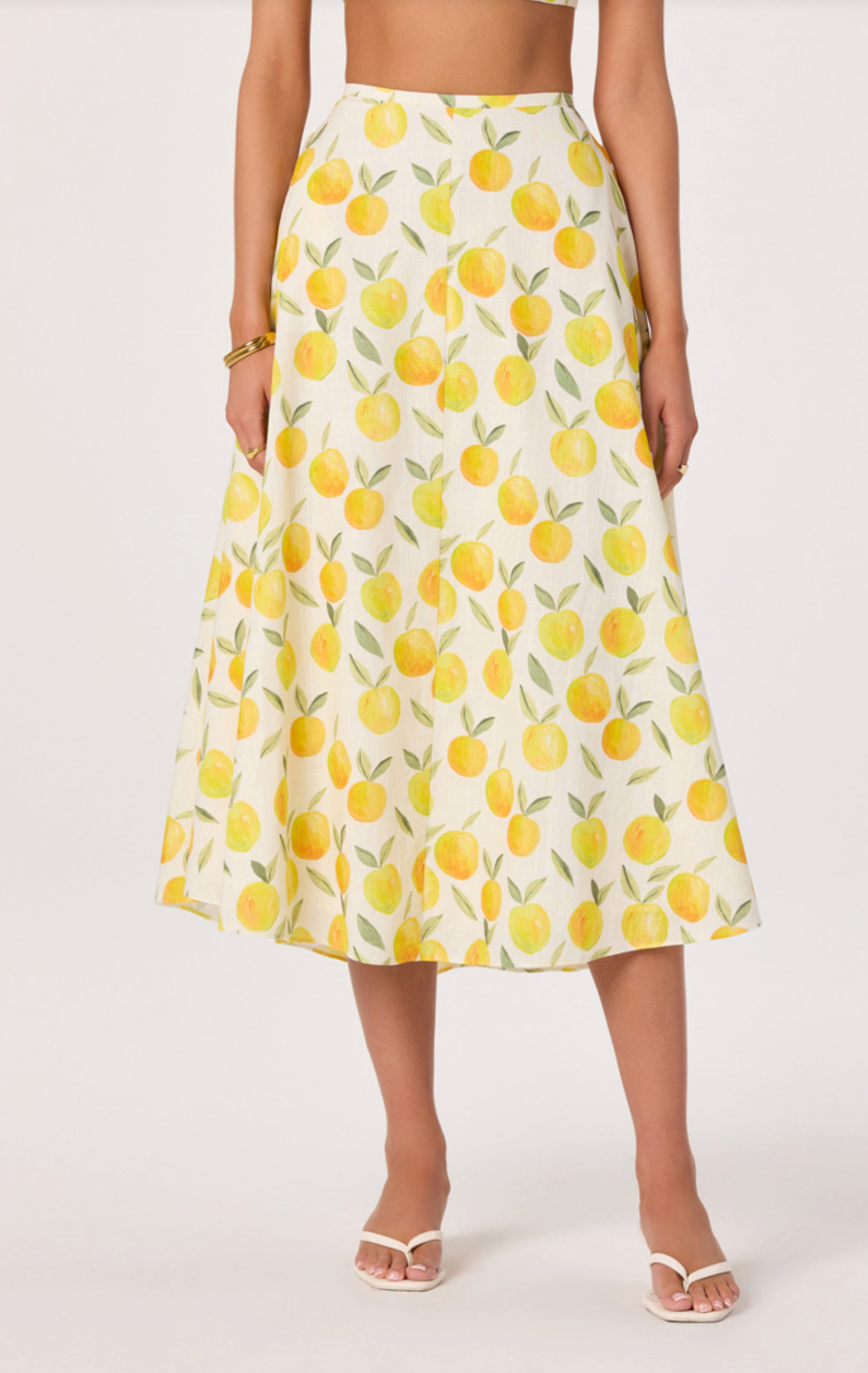Myria Print Linen A-Line Midi Skirt