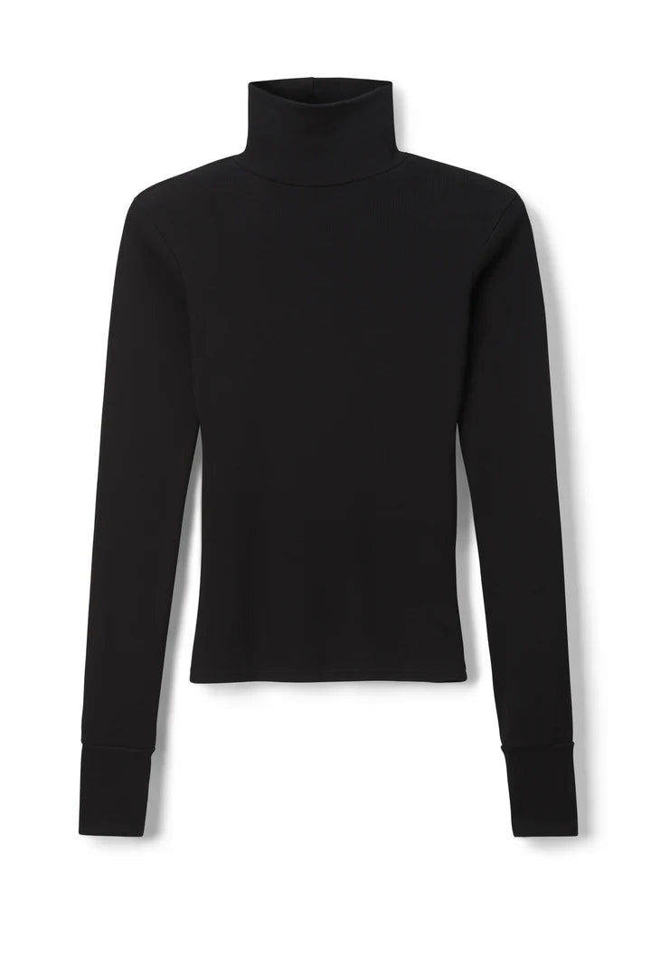 Hayden Cotton Rib Modal Turtleneck